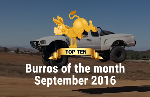 Burro Of The Month September